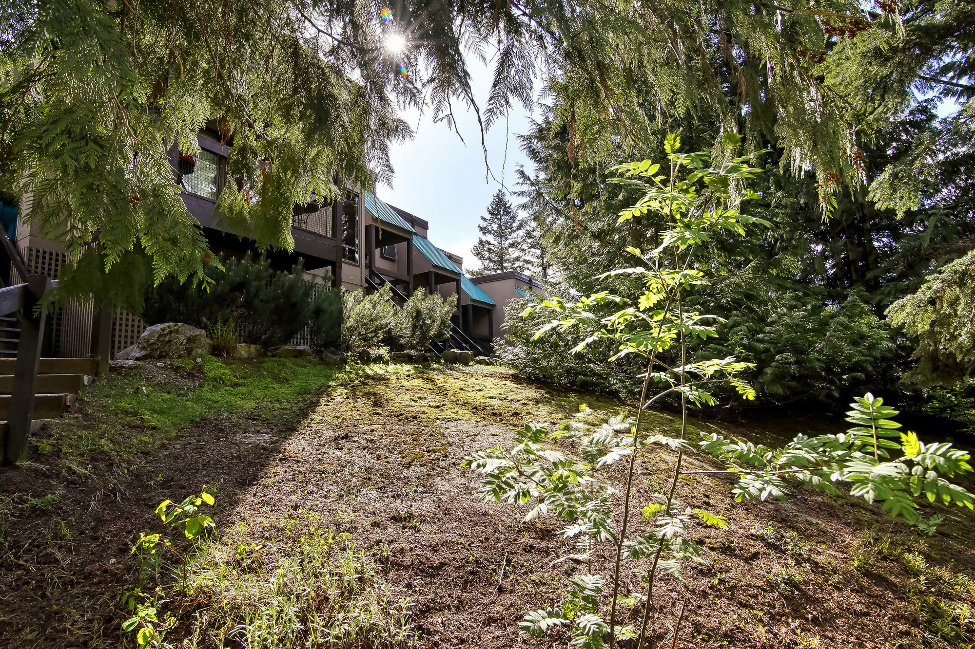 Whiski Jack Creekside Whistler Dış mekan fotoğraf